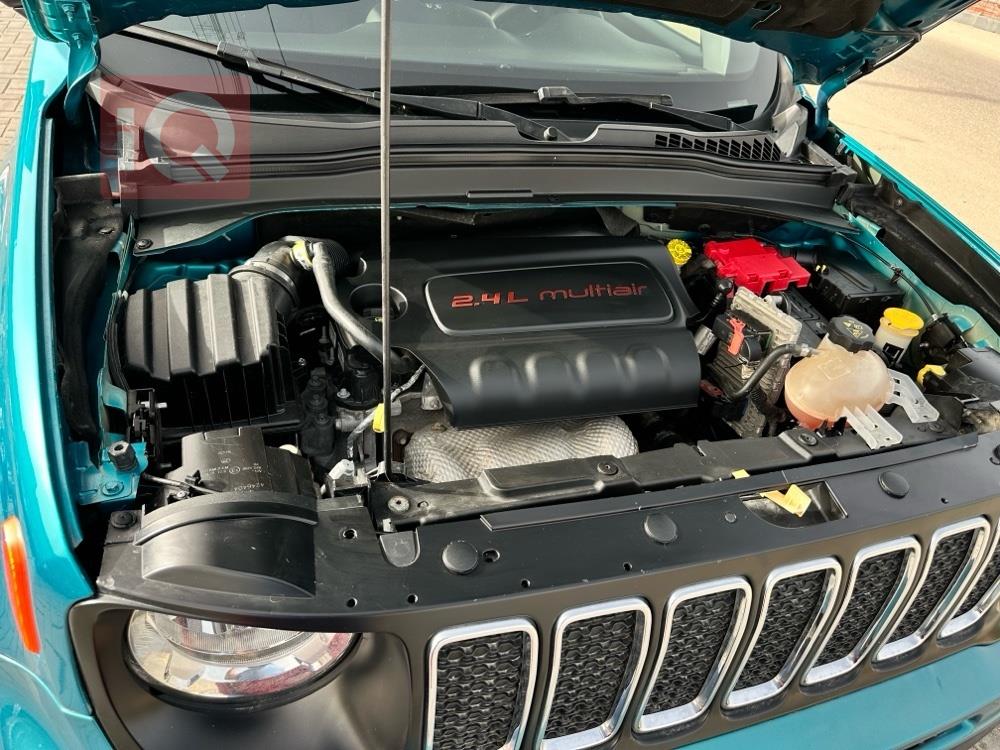 جيب رينيجيد